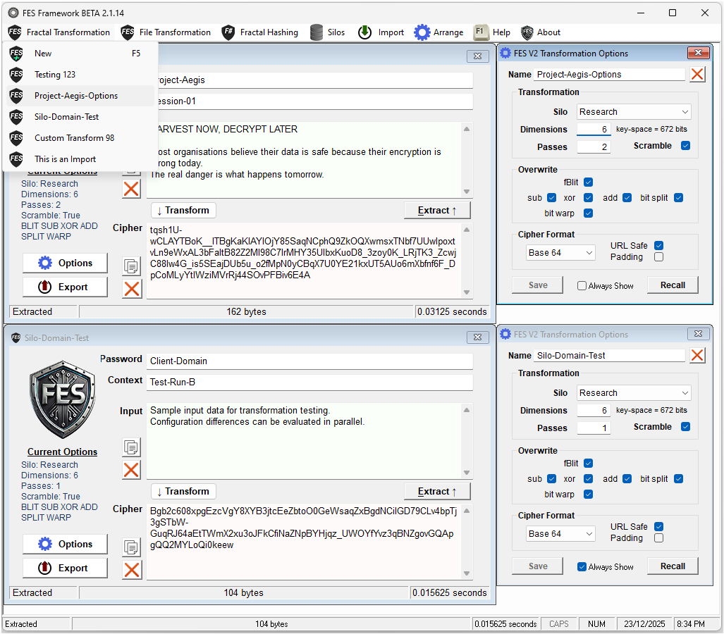 FES Framework showing two side-by-side transformation configurations